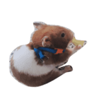 #hamster（個別スタンプ：2）