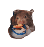 #hamster（個別スタンプ：4）
