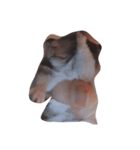 #hamster（個別スタンプ：8）