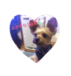 今日ものんびり〜✨癒しのイヴくん！（個別スタンプ：2）