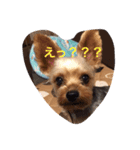 今日ものんびり〜✨癒しのイヴくん！（個別スタンプ：5）