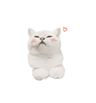 Nong Beyond and Baki Cat（個別スタンプ：7）