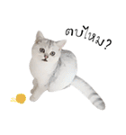 Nong Beyond and Baki Cat（個別スタンプ：9）