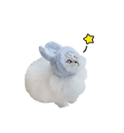 Nong Beyond and Baki Cat（個別スタンプ：10）