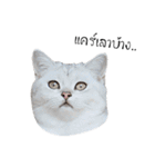 Nong Beyond and Baki Cat（個別スタンプ：12）