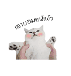 Nong Beyond and Baki Cat（個別スタンプ：16）