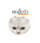 Nong Beyond and Baki Cat（個別スタンプ：23）