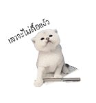 Nong Beyond and Baki Cat（個別スタンプ：25）