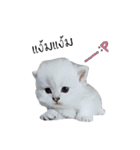 Nong Beyond and Baki Cat（個別スタンプ：26）