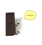 Nong Beyond and Baki Cat（個別スタンプ：28）