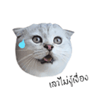 Nong Beyond and Baki Cat（個別スタンプ：30）