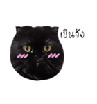 Nong Beyond and Baki Cat（個別スタンプ：33）