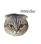 Nong Beyond and Baki Cat（個別スタンプ：35）