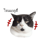 Nong Beyond and Baki Cat（個別スタンプ：38）