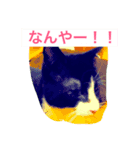 関西弁のいくつか（個別スタンプ：2）