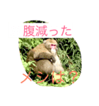 関西弁のいくつか（個別スタンプ：5）