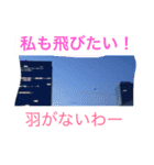 関西弁のいくつか（個別スタンプ：7）