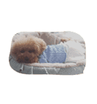 モフモフな日々（個別スタンプ：9）