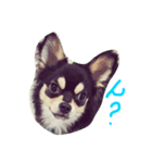ぺぽロック（個別スタンプ：1）