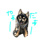 ぺぽロック（個別スタンプ：4）