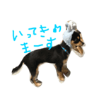 ぺぽロック（個別スタンプ：6）