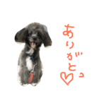 ぺぽロック（個別スタンプ：7）