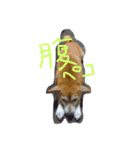 よだあずき（個別スタンプ：7）