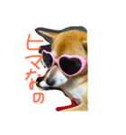 よだあずき（個別スタンプ：8）