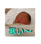 たいがの日常2（個別スタンプ：24）