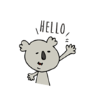 Hello Mr. Koala（個別スタンプ：1）