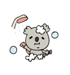 Hello Mr. Koala（個別スタンプ：31）