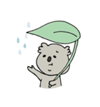 Hello Mr. Koala（個別スタンプ：37）