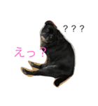 ラム太郎（個別スタンプ：4）