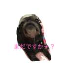 ラム太郎（個別スタンプ：6）