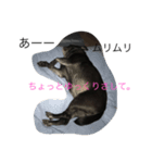 ラム太郎（個別スタンプ：8）