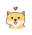 Chai P 's daily life (shiba inu)（個別スタンプ：1）