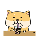 Chai P 's daily life (shiba inu)（個別スタンプ：3）