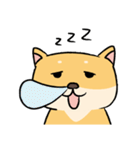 Chai P 's daily life (shiba inu)（個別スタンプ：4）