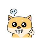 Chai P 's daily life (shiba inu)（個別スタンプ：11）