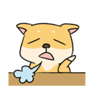 Chai P 's daily life (shiba inu)（個別スタンプ：13）