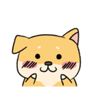 Chai P 's daily life (shiba inu)（個別スタンプ：14）