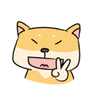 Chai P 's daily life (shiba inu)（個別スタンプ：17）