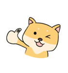 Chai P 's daily life (shiba inu)（個別スタンプ：18）