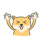 Chai P 's daily life (shiba inu)（個別スタンプ：19）