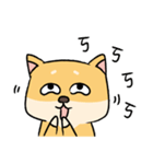 Chai P 's daily life (shiba inu)（個別スタンプ：20）