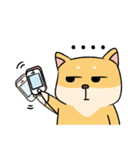 Chai P 's daily life (shiba inu)（個別スタンプ：21）