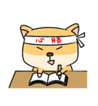 Chai P 's daily life (shiba inu)（個別スタンプ：24）