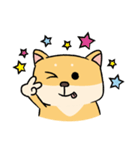 Chai P 's daily life (shiba inu)（個別スタンプ：27）