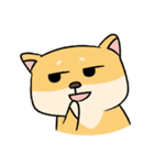 Chai P 's daily life (shiba inu)（個別スタンプ：28）