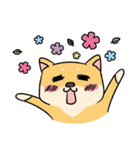Chai P 's daily life (shiba inu)（個別スタンプ：30）